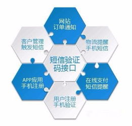 為什么需要這么多的驗證碼？——數字文化創意內容應用服務的視角